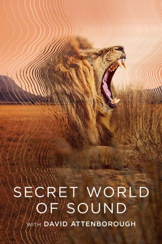 David Attenborough: Thế giới bí mật của âm thanh (Secret World of Sound 2024)