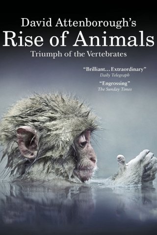 David Attenborough's Rise of Animals: Triumph of the Vertebrates (David Attenborough's Rise of Animals: Triumph of the Vertebrates 2013)