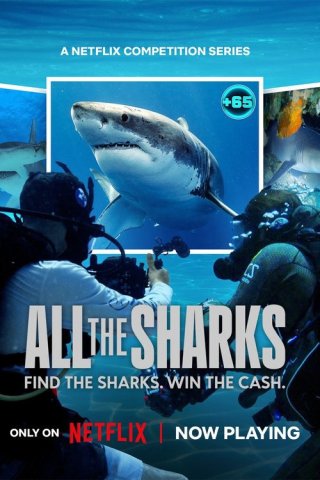 Đi tìm cá mập (All the Sharks)