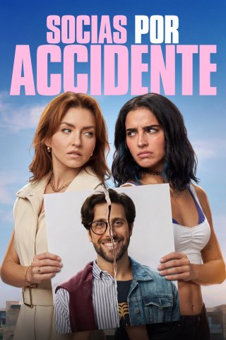 Đối tác tình cờ (Accidental Partners)