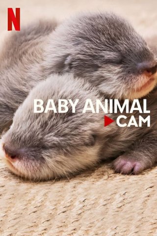 Động vật bé cưng trên camera (Baby Animal Cam 2023)