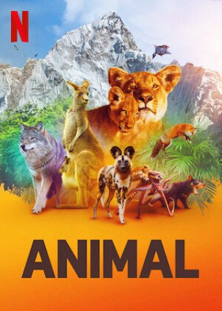 Động vật (Phần 1) (Animal (Season 1) 2021)