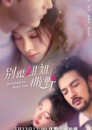 Đừng Nhờn Với Chị (Destined to Meet You 2022)