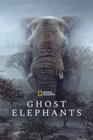 Ghost Elephants (Ghost Elephants 2026)