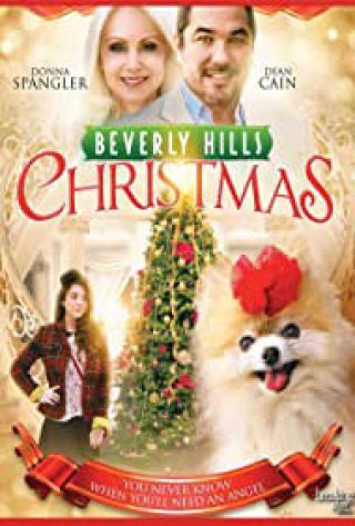 Giáng Sinh Ở Beverly Hills (Beverly Hills Christmas 2015)