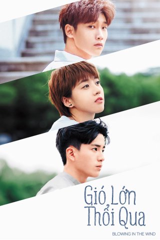 Gió Lớn Thổi Qua (Blowing in the Wind 2019)