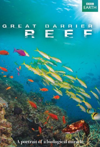 Great Barrier Reef (Great Barrier Reef 2012)