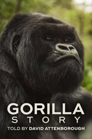 Hành Trình Của Khỉ Đột – Qua Giọng Kể David Attenborough (A Gorilla Story: Told by David Attenborough 2026)