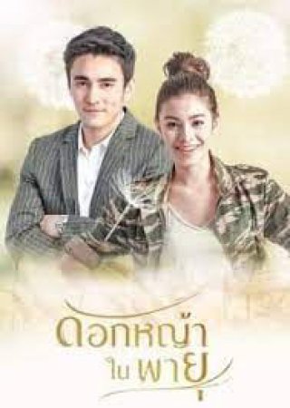 Hoa Cỏ Lau Trong Bão (Grass Flower In The Storm 2018)