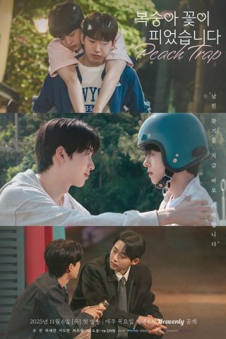 Hoa Đào Nở (Peach Trap 2025)