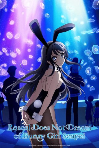 Hội chứng tuổi teen và cô gái có đôi tai thỏ (Rascal Does Not Dream of Bunny Girl Senpai 2018)