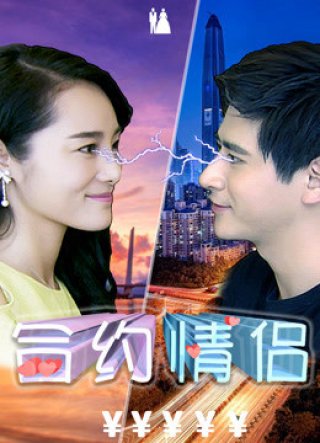 Hợp đồng tình nhân (Rented Boyfriend 2017)