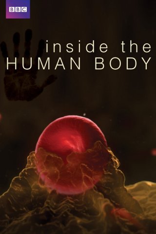 Inside the Human Body (Inside the Human Body 2011)