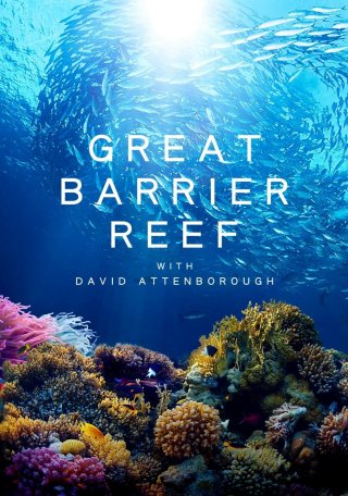 Khám Phá Rạn San Hô Great Barrier cùng David Attenborough (Great Barrier Reef with David Attenborough 2015)