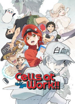 Khi Các Tế Bào Làm Việc (Phần 2) (Cells at Work! S2 2021)
