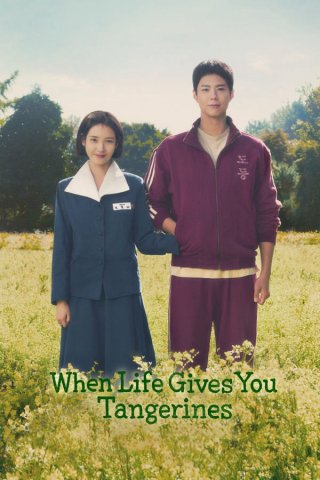 Khi Cuộc Đời Cho Bạn Quả Quýt (When Life Gives You Tangerines 2025)