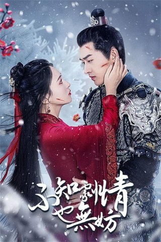 Không Biết Cốt Truyện Cũng Không Sao (It Doesn't Matter if You Don't Know the Plot 2024)