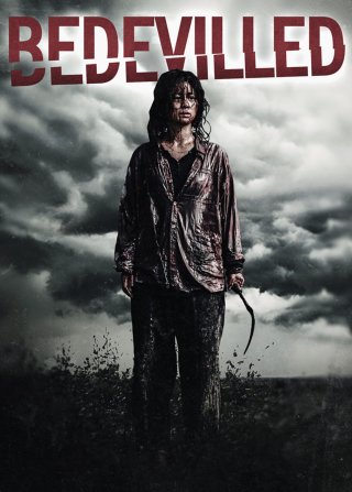 Kim Bok-nam salinsageonui jeonmal (Kim Bok-nam salinsageonui jeonmal 2010)