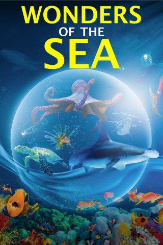 Kỳ Quan Của Đại Dương (Wonders of the Sea 3D 2017)