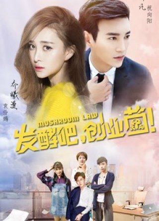 Lên Men Nào, Người Bọ Lập Nghiệp (Mushroom Law 2018)