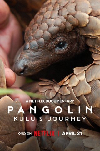 Loài tê tê: Hành trình của Kulu (Pangolin: Kulu's Journey 2025)
