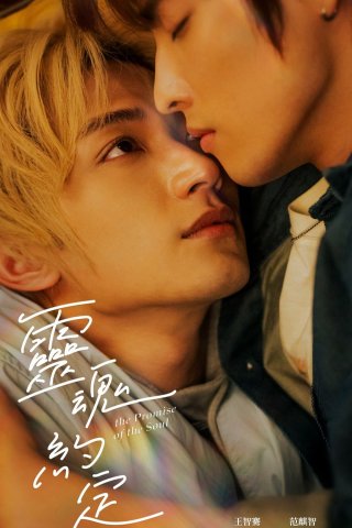 Lời Ước Định Của Linh Hồn (The Promise Of The Soul 2025)