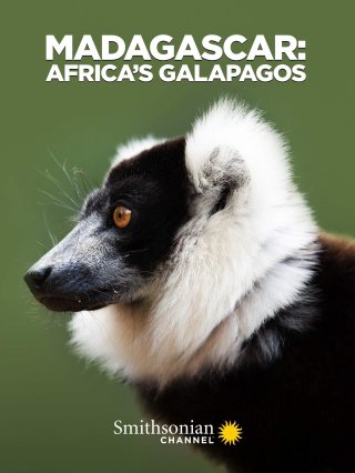 Madagascar: Africa's Galapagos (Madagascar: Africa's Galapagos 2019)