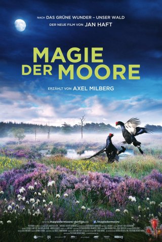 Magie der Moore (Magie der Moore 2015)