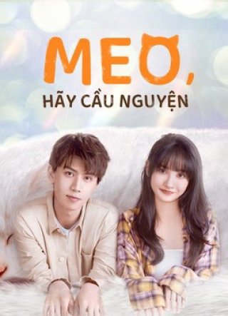 Meo, Hãy Cầu Nguyện (Make a wish 2021)