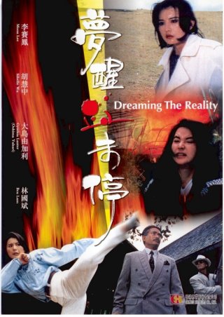 Mộng Tỉnh Huyết Vị Đình (Dreaming the Reality 1991)