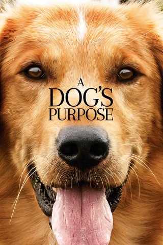 Mục Đích Sống Của Một Chú Chó (A Dog's Purpose 2017)