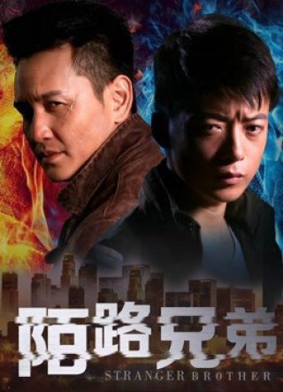 Người anh em xa lạ (Stranger Brothers 2017)