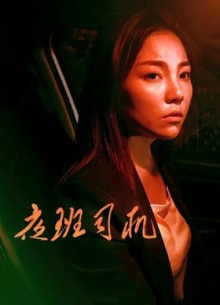 Người lái xe vào ca đêm (Driver on Night Shift 2018)