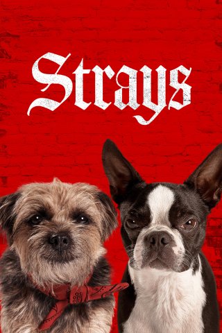 Những Chú Chó Bụi Đời (Strays 2023)