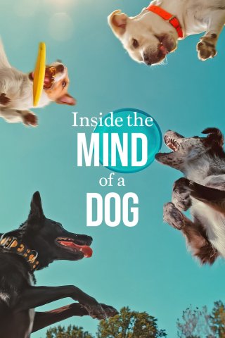 Những chú chó nghĩ gì (Inside the Mind of a Dog 2024)