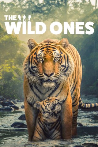 Những Sinh Vật Hoang Dã (The Wild Ones 2025)