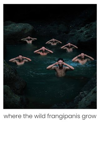 Nơi hoa sứ dại mọc (Where the Wild Frangipanis Grow 2023)