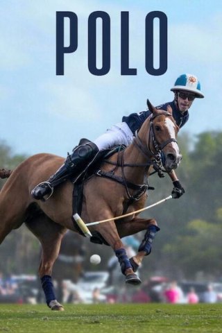 Polo (Polo 2024)