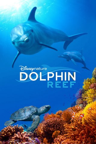 Rạn San Hô Cá Heo (Dolphin Reef 2018)