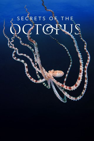 Secrets of the Octopus (Secrets of the Octopus 2024)
