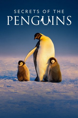 Secrets of the Penguins (Secrets of the Penguins 2025)