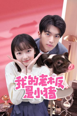 Sếp Của Tôi Là Chú Lợn Nhỏ (My Piggy Boss 2024)