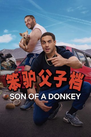Son Of A Donkey (Son Of A Donkey 2025)