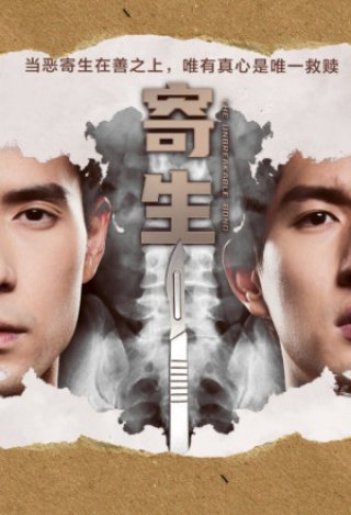 Sứ Mệnh Tái Sinh (The Unbreakable Bond 2022)