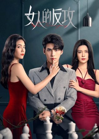 Sự Phản Công Của Phụ Nữ (The Fevengers 2024)