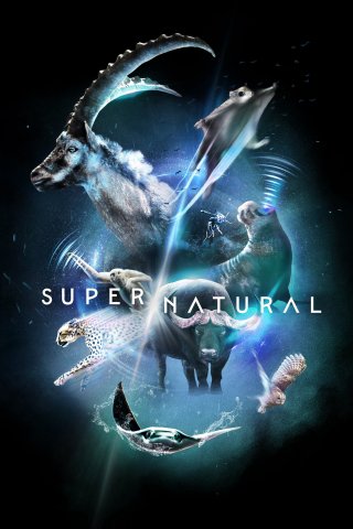 Super/Natural (Super/Natural 2022)