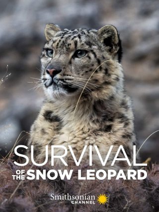 Survival Of The Snow Leopard (Survival Of The Snow Leopard 2020)