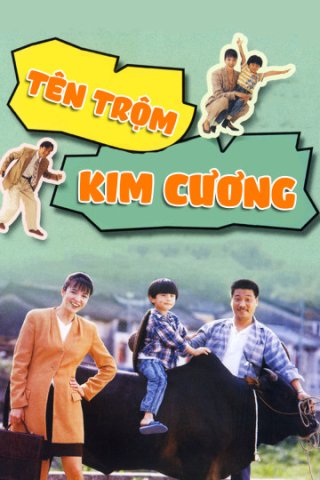 Tên Trộm Kim Cương (To Catch A Thief 1992)