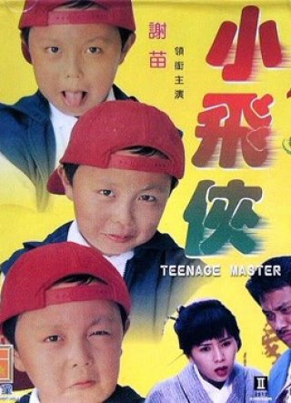 Thạc sĩ thiếu niên (Teenage Master 1995)