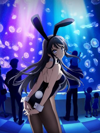 Thanh niên đầu lợn - Không nằm mơ thấy senpai thỏ (青春ブタ野郎はバニーガール先辈の梦を见ない 2018)